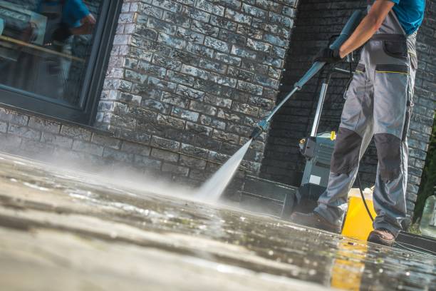 Animal Enclosure Cleaning in Crossett, AR